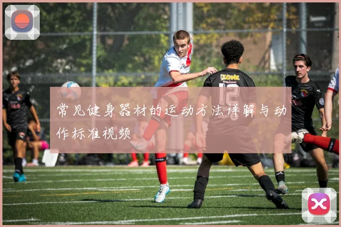 常见健身器材的运动方法详解与动作标准视频