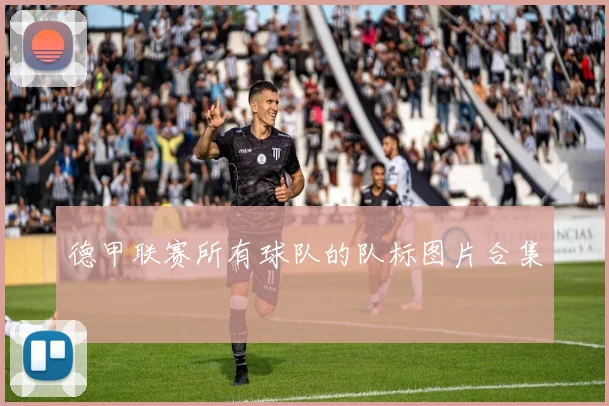 德甲联赛所有球队的队标图片合集