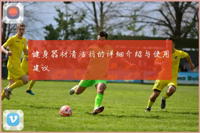 健身器材清洁剂的详细介绍与使用建议