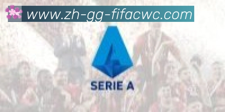 世界杯在线观看合作伙伴
